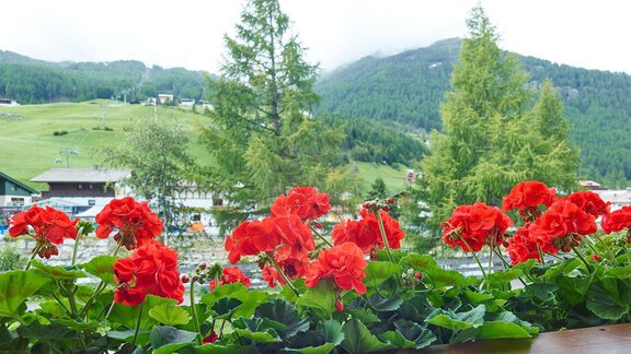 Aussicht vom Balkon - Frühstückspension Karl Schöpf - Sölden