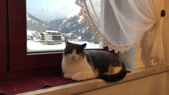 IMG_4489 - Gästehaus Martin - Sölden