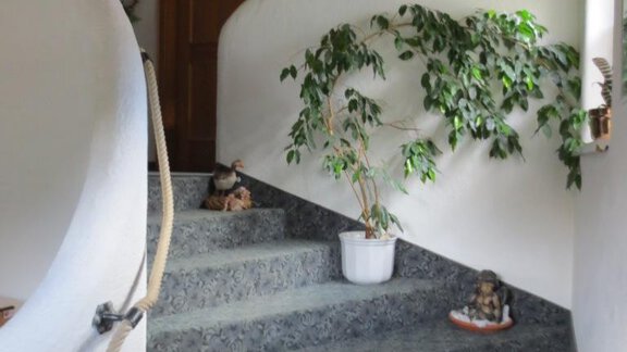 Stiegenhaus - Haus Alpenhäusl - Sölden