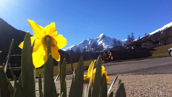 Aussicht vom Haus Nederkogel - Haus Hugo - Sölden