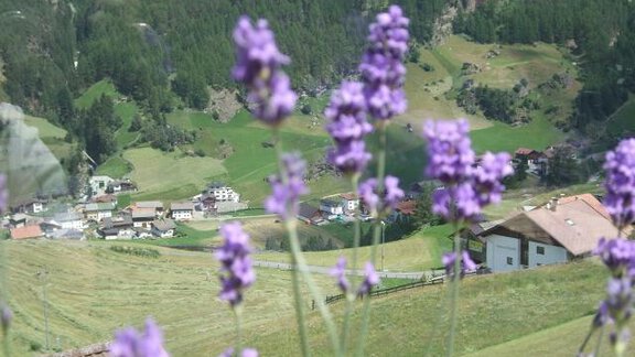 Landschaft im Sommer - Hotel Elisabeth - Sölden