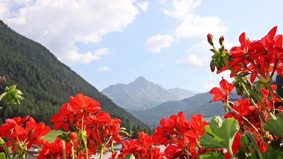 Ausblick Balkonzimmer - Landhaus Fiegl Hubert - Sölden