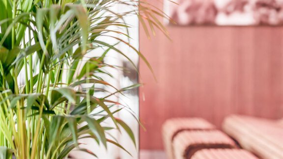 Infrarotkabine - THE DELUXE by Regina - Sölden