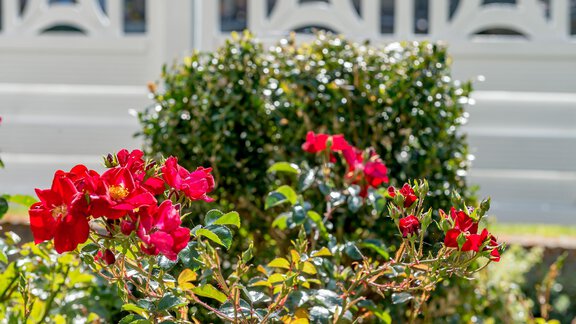 Garten - Villa Castelbell - Sölden