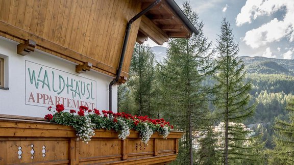 Waldhäusl - Sölden