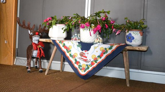 Dekoration 1 - Appt. Garni Anny - Vent