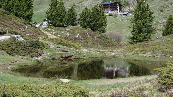Sommer mit See - Gasthof Geierwallihof - Vent