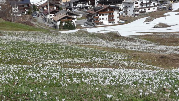 Frühling in Vent - Haus Eberhard - Vent
