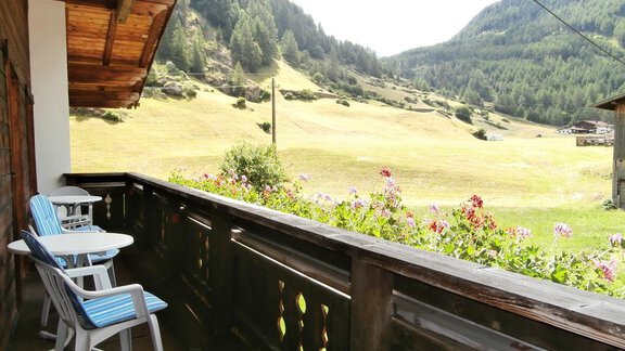 Aussicht-Balkon - Haus Fiedelis'n - Zwieselstein