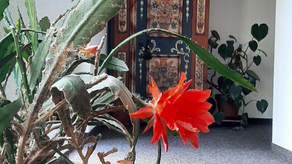 2.Stock Gang - Gästehaus Elisabeth - Gries