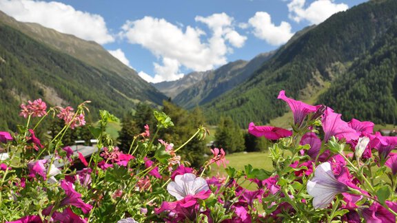 Ausblick vom Hotelzimmer ins Horlachtal - Hotel Tauferberg - Niederthai