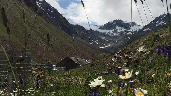 Bergblumen - Appt. Ideal - Sölden