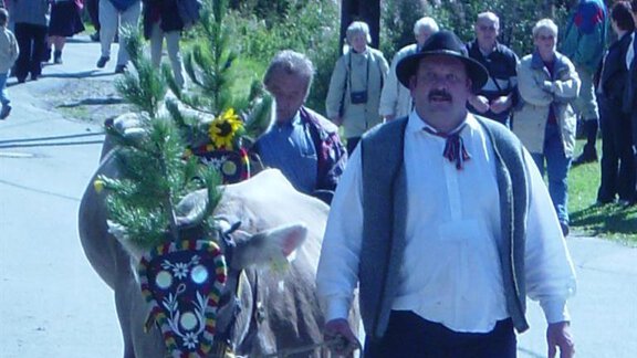 Beim Almabtrieb - Brandlehof - Sölden