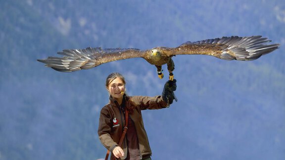 Greifvogelpark2 Gebhard Schranz TVB Oetztal Soelde - Haus Leo - Sölden