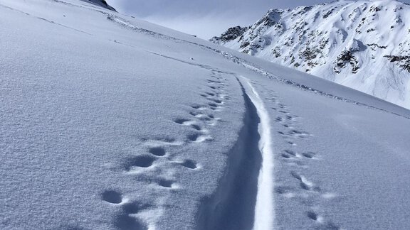 A snow-covered mountain path with footprints in the snow. The sky is overcast, and the surroundings appear calm and untouched. - Haus Sonnwend - Sölden