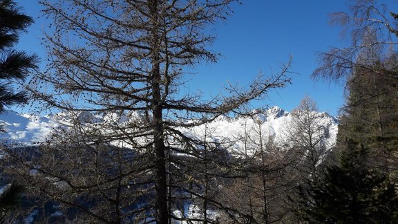 Panoramablick nach Süden - Michls Hoamat Appartement - Sölden