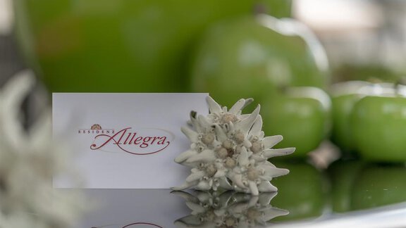 Wir freuen uns auf Sie! Ihre Fam. Schönegger - Residenz Allegra - Sölden | © Residenz Allegra Sölden