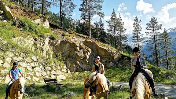 Reitferien Ausritt Sommerurlaub Reitunterricht Haf - Appartements & Biobauernhof der Veitenhof - Niederthai