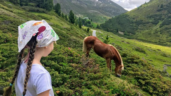 Bo & Reiterhof der Veitenhof - Bio & Reiterhof der Veitenhof - Niederthai