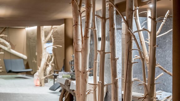 Wellness im Wieser - Apart Hotel Garni Wieser - Sölden