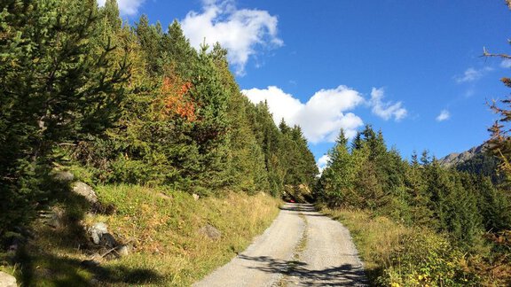 Sommerwanderweg - Appt. Ideal - Sölden