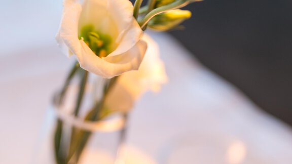 Tischdeko - Hotel Sportpension Carinthia - Sölden