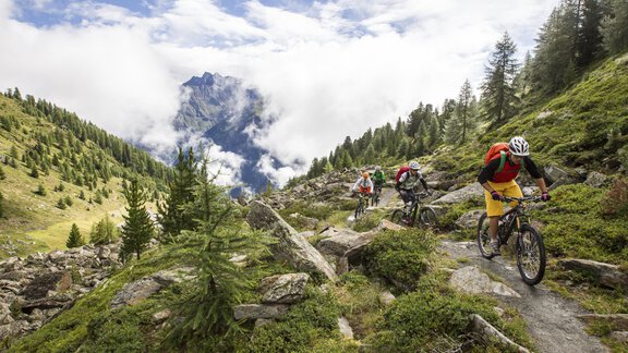 Biken  - Appartements & Biobauernhof der Veitenhof - Niederthai
