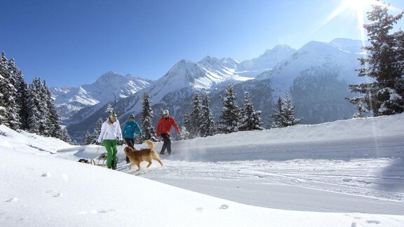 Winterwandern in Niederthai  - Appartements & Biobauernhof der Veitenhof - Niederthai