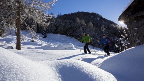 Schneeschuhwandern  - Appartements & Biobauernhof der Veitenhof - Niederthai