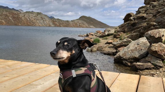 Urlaub mit Hund - Appartement Oskar - Sölden