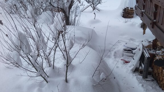 A snowy landscape with trees and some tracks in the snow. The area is quiet and idyllic, surrounded by a wintry atmosphere. - Michls Hoamat Appartement - Sölden