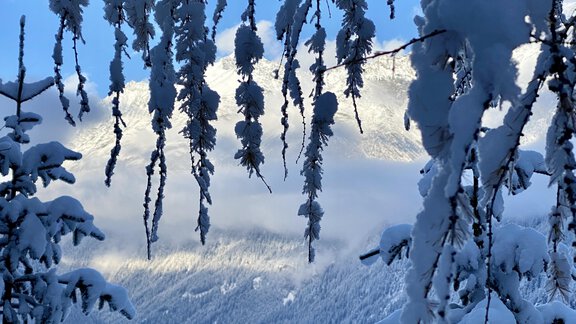 Winter Pension Klaus - Sölden