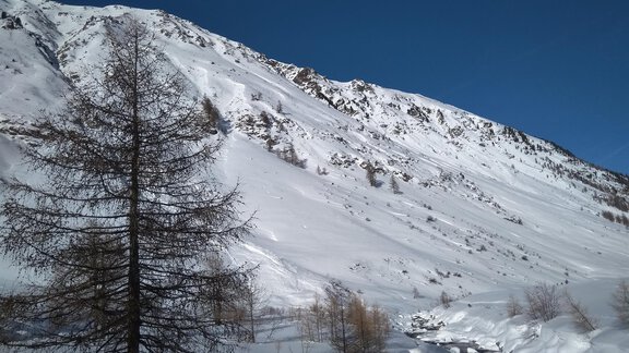 A snow-covered mountain landscape under a clear blue sky. In the foreground stands a single tree next to a small river. - Michls Hoamat Appartement - Sölden