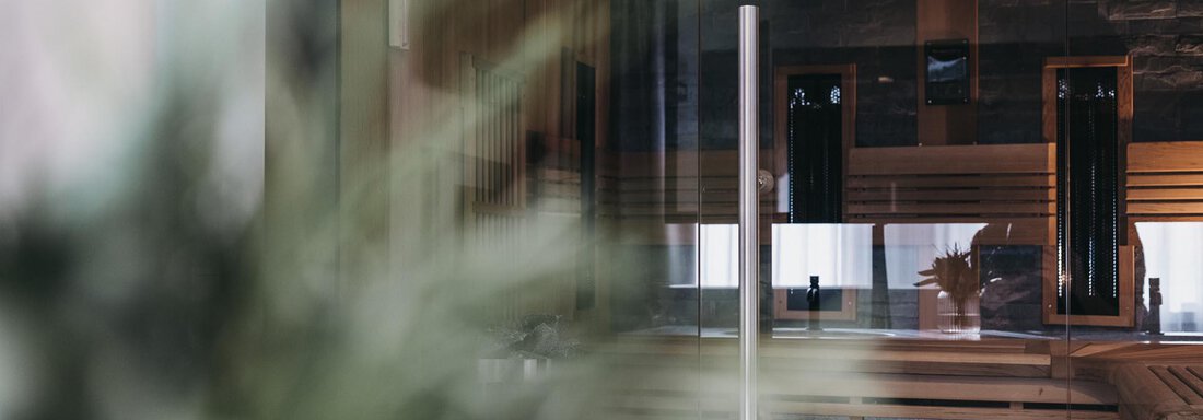 A modern sauna interior with wooden paneling and large windows. In the foreground, a blurred plant is visible. - The Crystal VAYA Unique - Obergurgl 