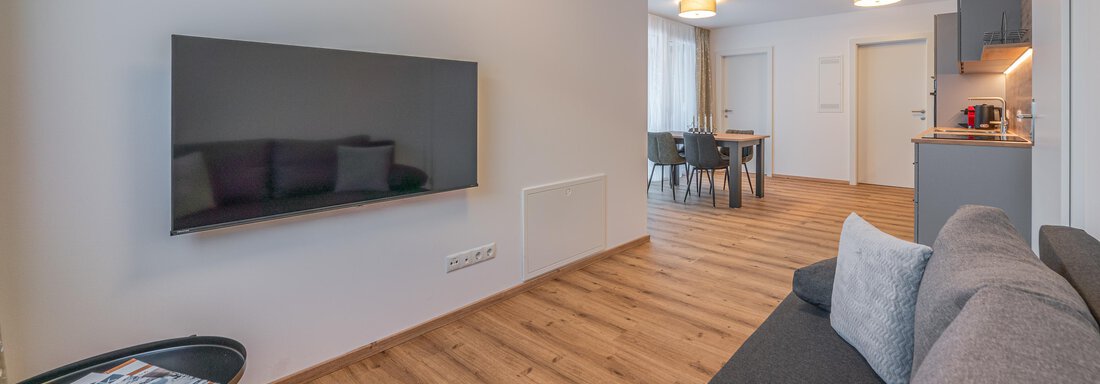 Wohnbereich mit Schlafsofa - Apart Sonnenbichl - Sölden