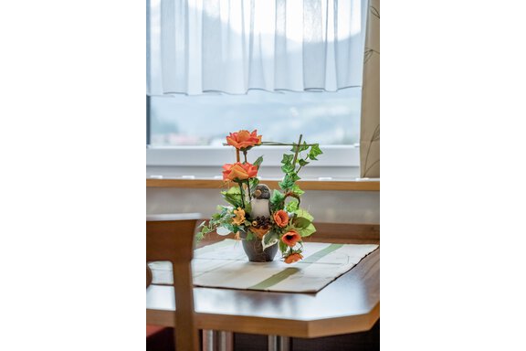 Impression - Apart Wiesengrund - Sölden