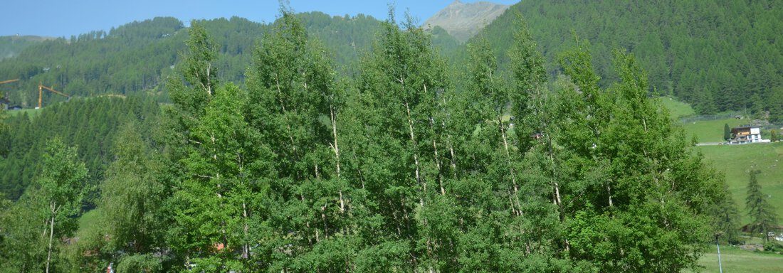 Aussicht - Garni Columbia - Sölden