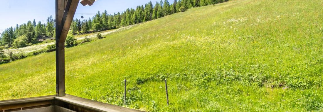 Ein Blick von einem Balkon auf eine grüne Wiese und bewaldete Hügel. Der Himmel ist klar und blau. - Garni Nadine - Sölden
