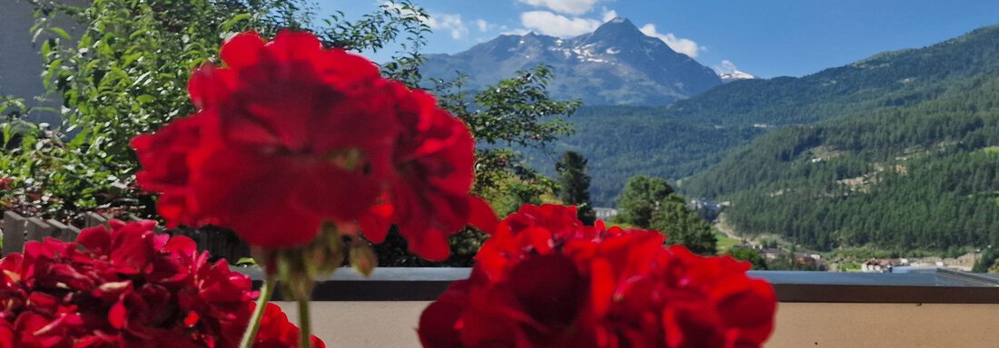 Garten Panorama.... - Granbichlhof - Sölden