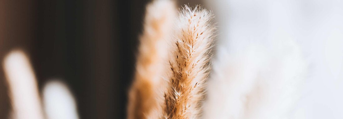 2800x1900_apartment_brunnenkogl_41 - Grünwald Resort Sölden - Sölden