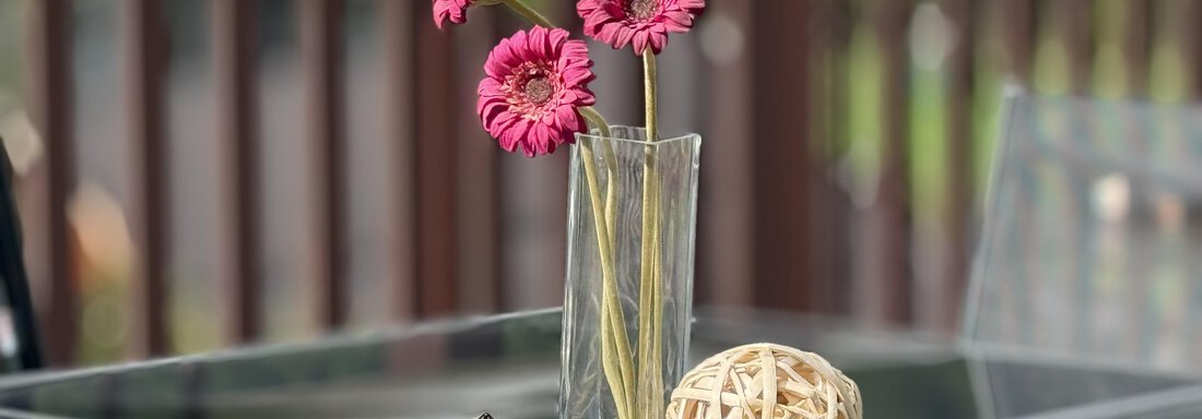 HAUS PIA IMG_3692 - Haus PIA by A CASA - Sölden