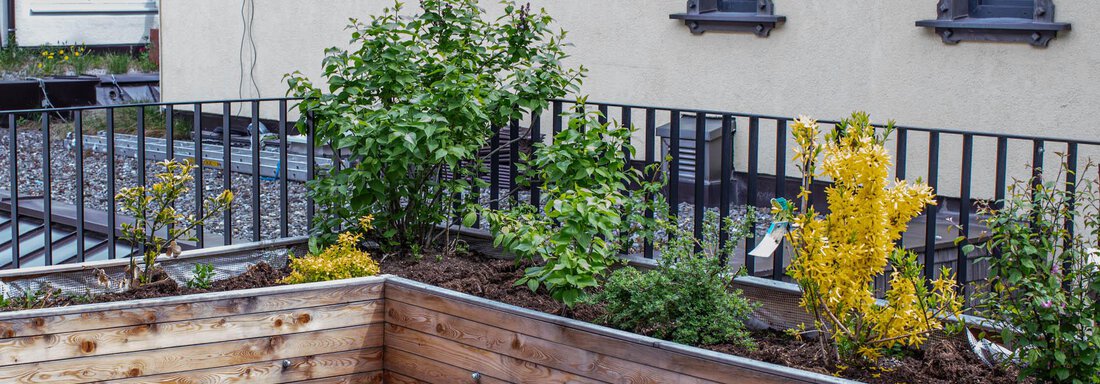 Balkon - Terasse - Lutonia Appartements Sölden - Sölden