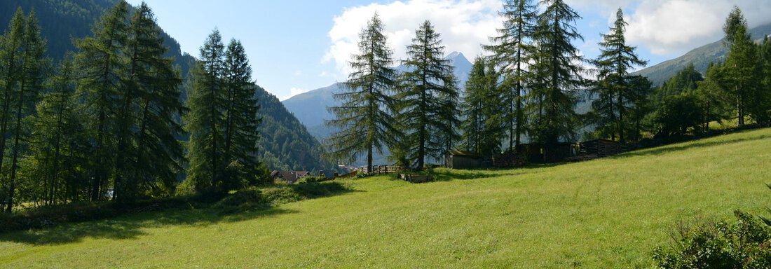 Balcony with view to the south - Pension "Zur alten Mühle" - Sölden