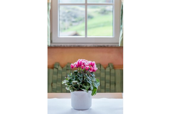 Eine schön blühende Zimmerpflanze steht in einem weißen Topf auf einem Tisch. Im Hintergrund ist ein Fenster mit Blick auf eine grüne Landschaft sichtbar. - Villa Castelbell - Sölden