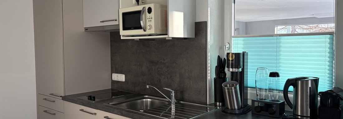 Eine moderne Küche mit grauen Schränken und einer Edelstahlspüle. Die Ausstattung umfasst eine Mikrowelle, Kaffeemaschine und Mixer. - Haus Praxmarer - Zwieselstein